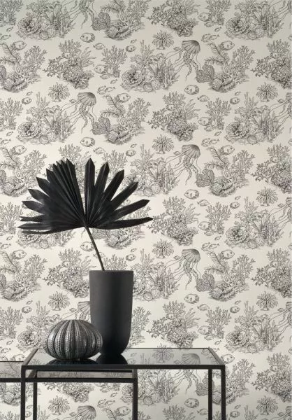 Côte sauvage 201479559 Noir fusain