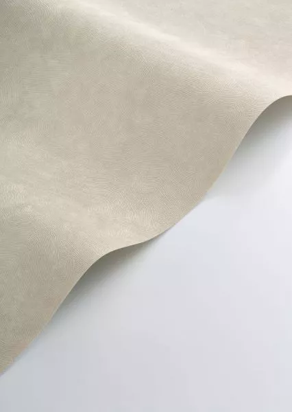 Côte d’Opale 201491414 Beige sable