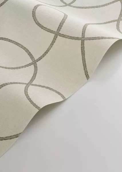 Pointe du Raz 201509338 Taupe