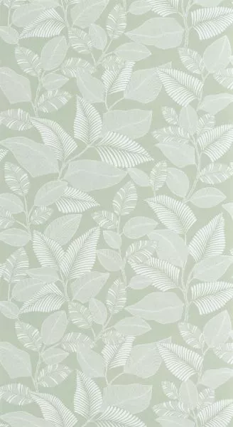 Paraty 201807244 Vert celadon