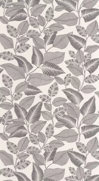 Paraty 201809271 Noir fusain