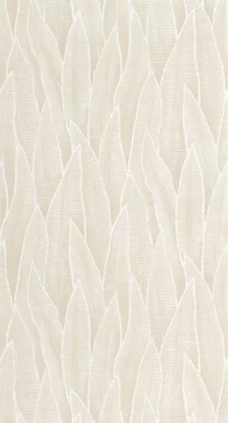 Sansevieria 201830155 Blanc craie