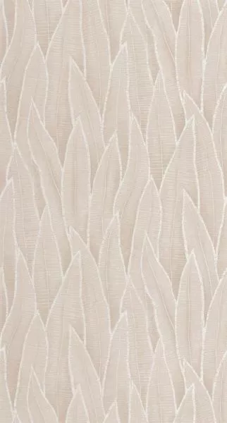 Sansevieria 201831873 Beige ficelle