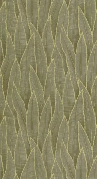 Sansevieria 201837807 Vert mousse