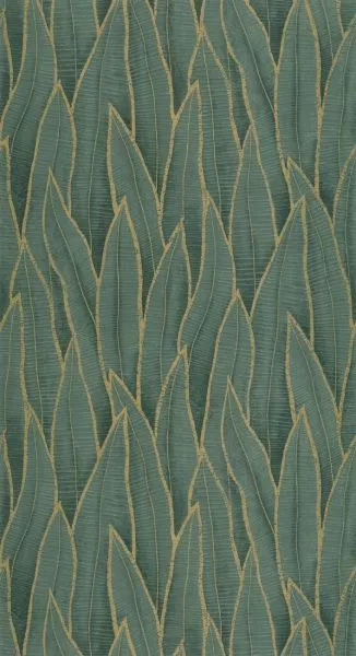 Sansevieria 201837914 Vert foret