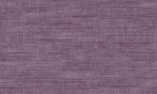 Canvas 24505 Lavender