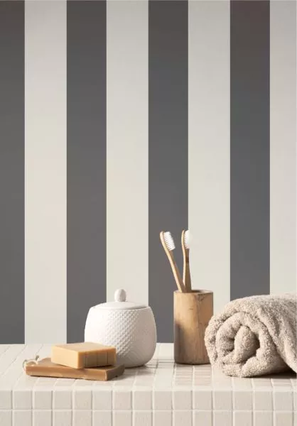 Baltic rayure 29259984 Charbon