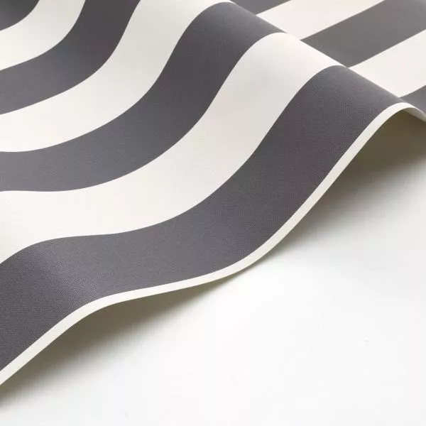 Baltic rayure 29259984 Charbon