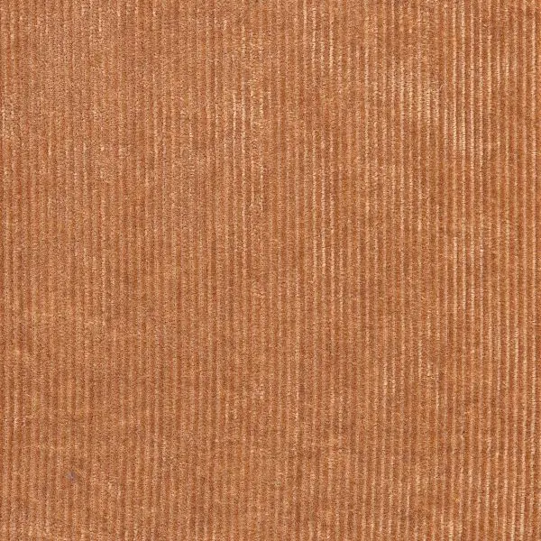 Lush Tinneroy 29501