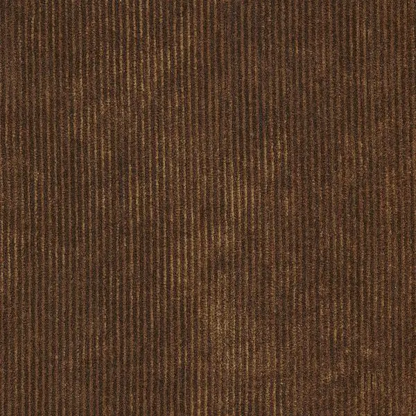 Lush Tinneroy 29506