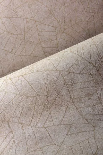 Essentials Fragment 30333 Dove