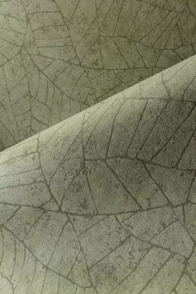 Essentials Fragment 30337 Absinthe