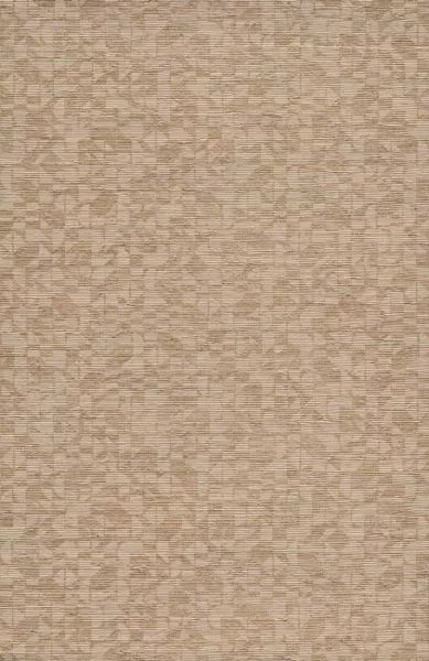 Cyperus 31732 Goldstorm