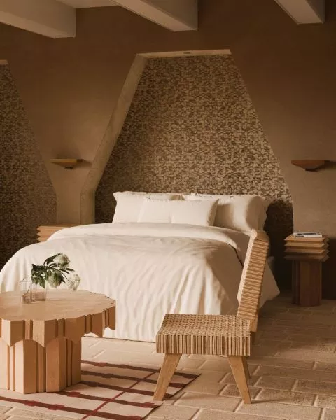 Cyperus 31734 Caramel