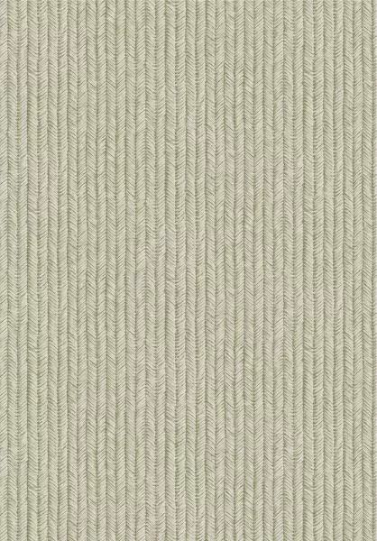 Corduroy 350576 Green