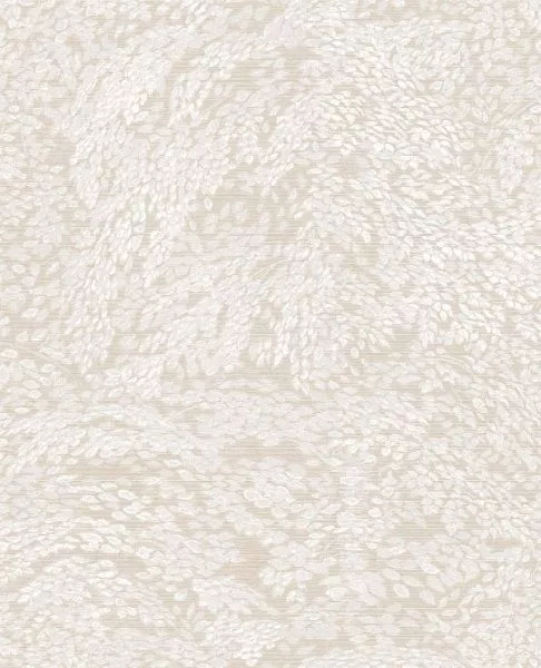 Whisper 351270 Nature