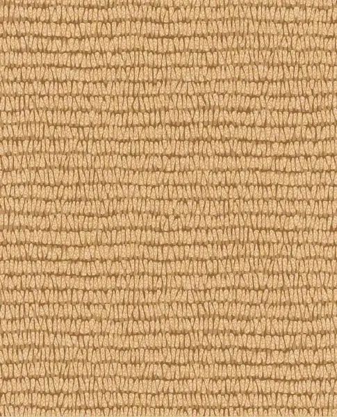 Maize 363341 gelb