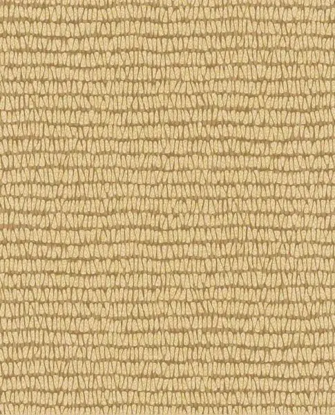 Maize 363344 sand