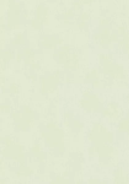 Wallpower Junior 364035