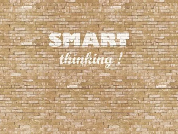 Wallpower Junior 364201 Smart Thinking XL