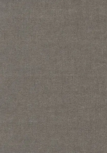 Natural Wallcoverings II 389541