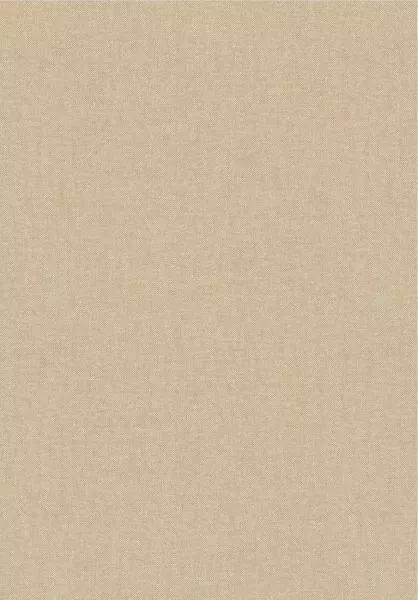 Lin 40102A Pierre de France