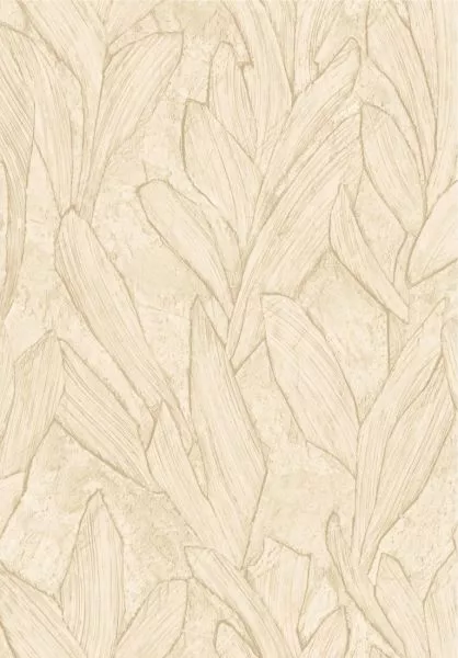 Sculptura Piante 42529 Abalone