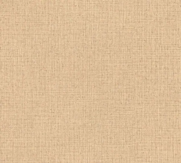 Gitane Nongo 49511 Sand