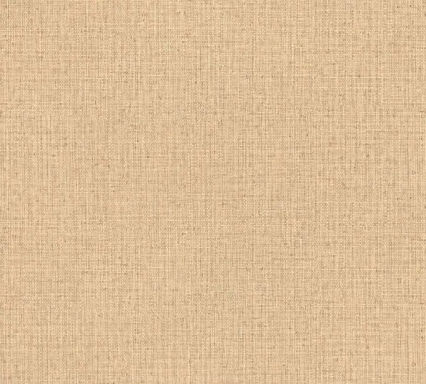 Nongo 49511 Sand