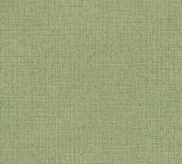 Gitane Nongo 49517 Olive