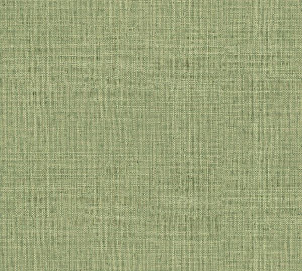 Nongo 49517 Olive