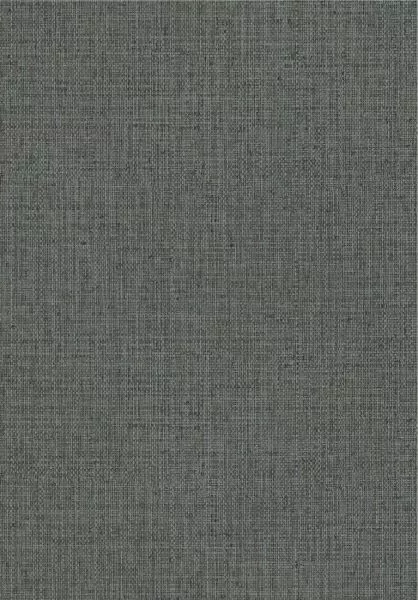 Gitane Nongo 49521 Blue Ash