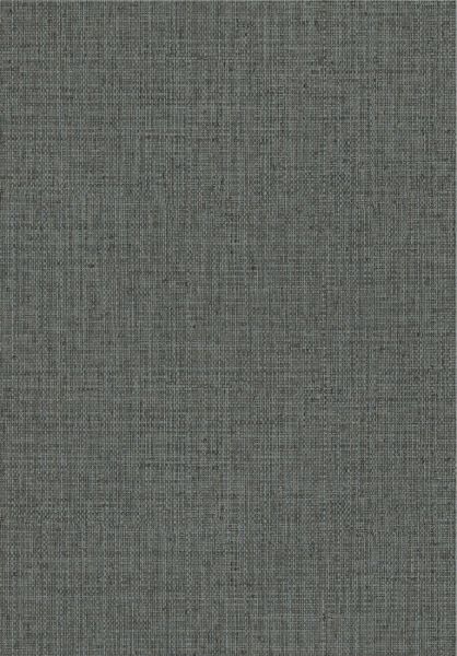 Nongo 49521 Blue Ash