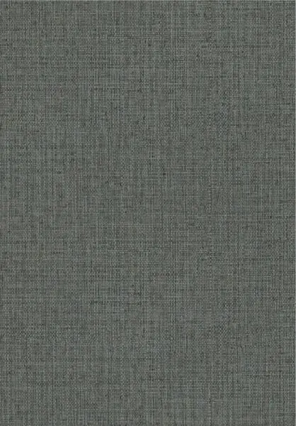 Nongo 49521 Blue Ash