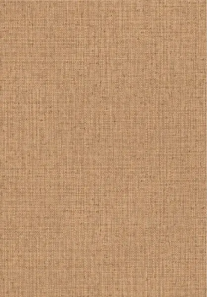 Nongo 49523 Basket