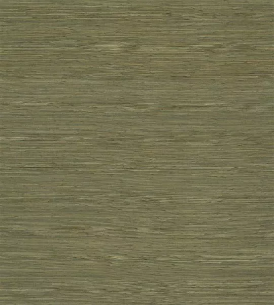 Gradient 52405 Oregano