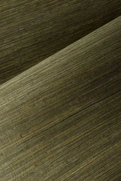 Gradient 52405 Oregano