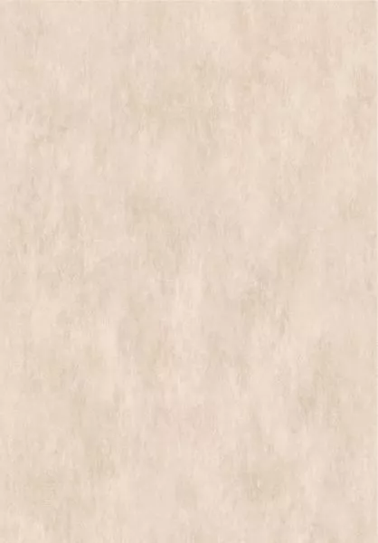 Essentials Manchas 57528 Champagne