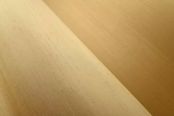 Papillon 58543 Butter