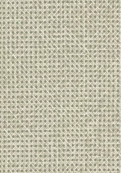 Essentials L'Invité Le Rotin 60515 Pistache