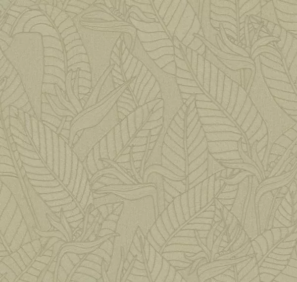 Strelitzia 60740 Olive