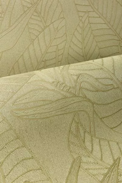 Strelitzia 60740 Olive