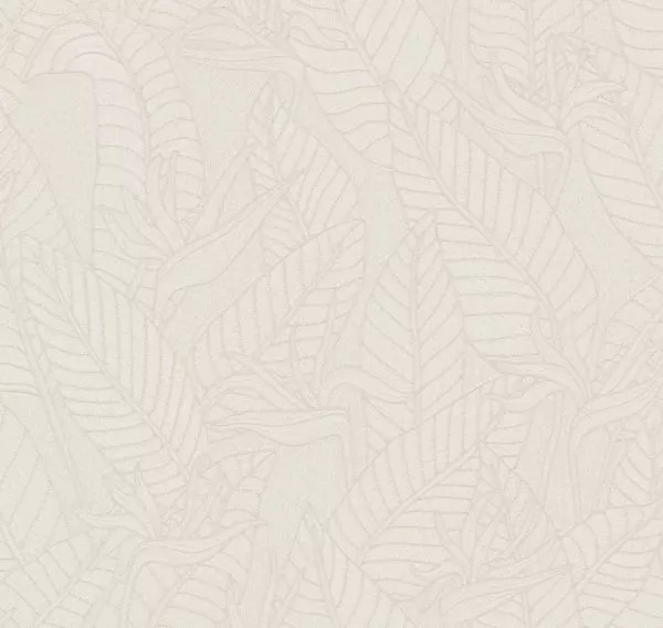 Strelitzia 60741 Alabaster