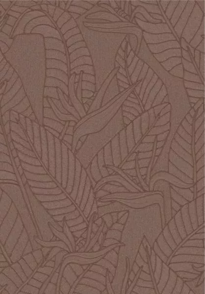 Strelitzia 60743 Hickory