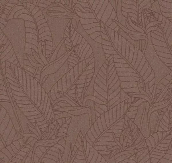 Strelitzia 60743 Hickory