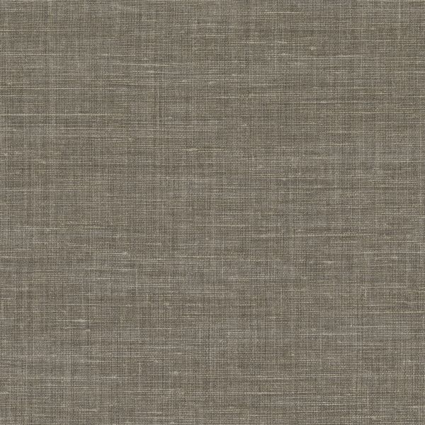 Shinok 73813782 Gris Taupe