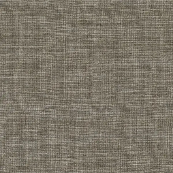 Shinok 73813782 Gris Taupe