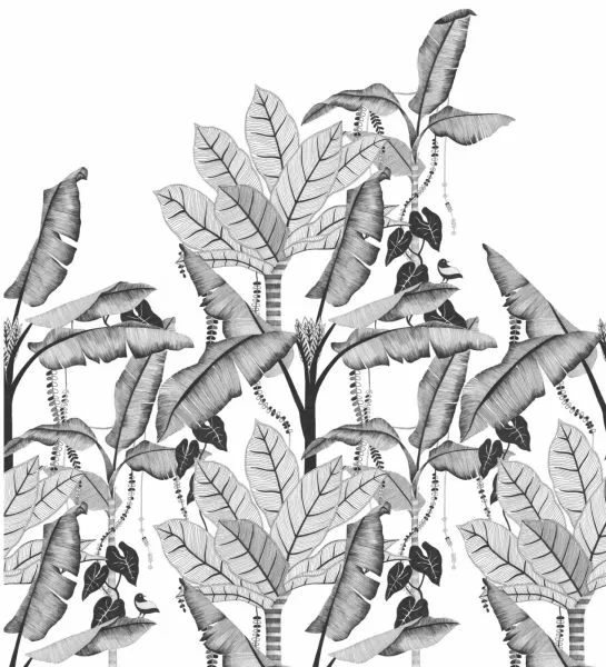 Jangala 74992038 Noir/Blanc