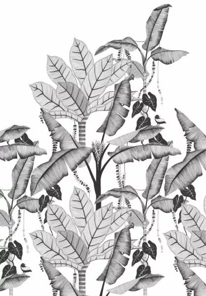 Jangala 74992038 Noir/Blanc