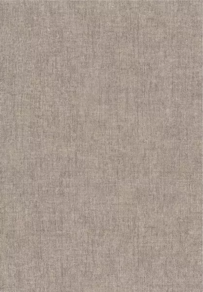 Diola 75150814 Taupe